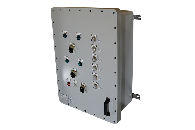 Offshore | Explosion Proof Offshore Control System WEX4